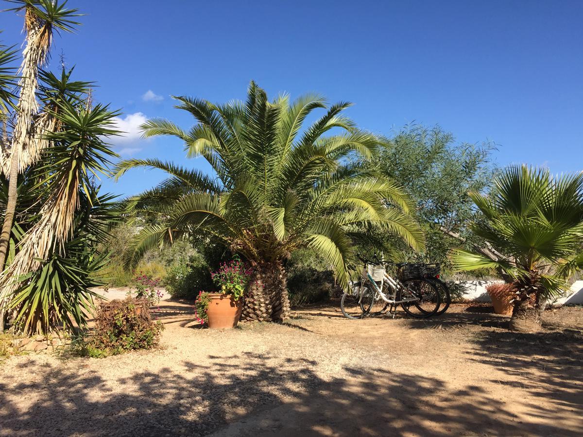 Apartamentos Laura Playa De Migjorn ภายนอก รูปภาพ